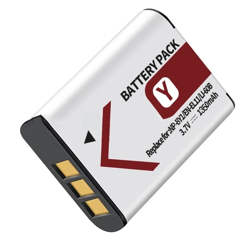 Batterie pour Nikon et Pentax