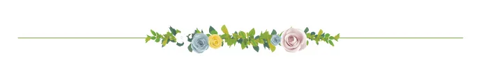 Blind Box Image